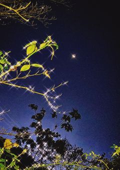 星空家の日常