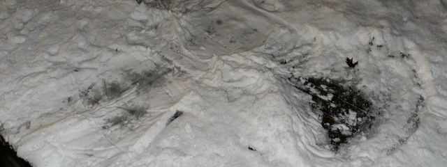 パピ子ちゃまさんの壁紙画像