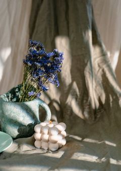 ネコちゃのヒミツ基地