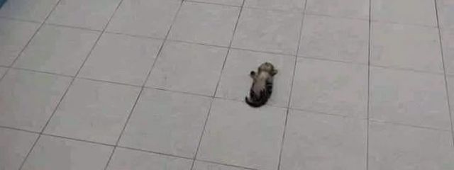 M.Mさんの壁紙画像