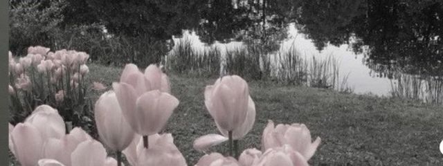 a.さんの壁紙画像