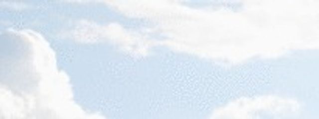 　雨　林　❕🌐　@ 更新🐢でもゆるちてさんの壁紙画像