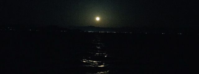 腐ったミカンのTANEさんの壁紙画像