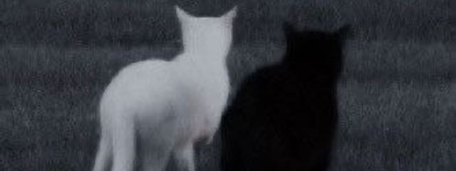 豪さんの壁紙画像