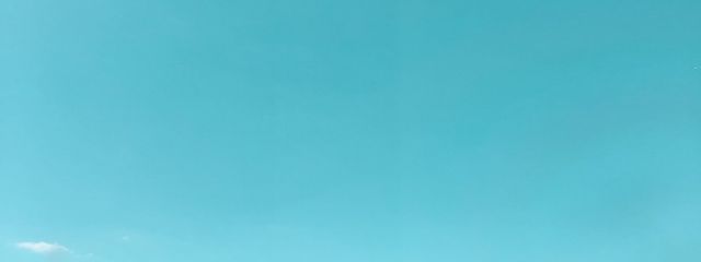 ゆいさんの壁紙画像