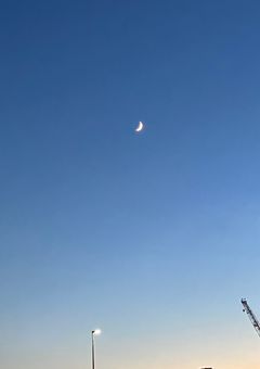 ひ       か         り