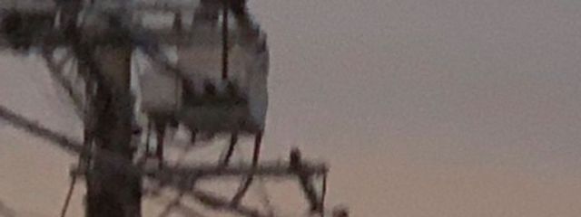 希渉さんの壁紙画像