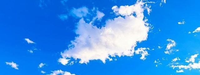 さくらさんの壁紙画像