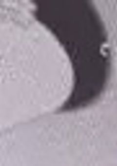 　↴　　ᵗᵃˡᵏ ʳᵒᵒᵐ　　☏☏