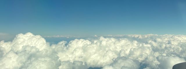 紅茶豆乳さんの壁紙画像