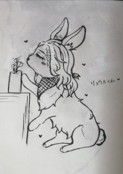 涼汰の置き場所