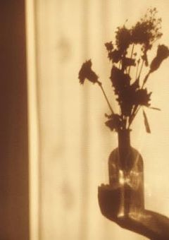 twst BL 短編集 𖤣𖥧𖥣｡𖤣𖥧𖥣｡