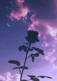 ある日、起こってしまった誘拐事件は(仮題)