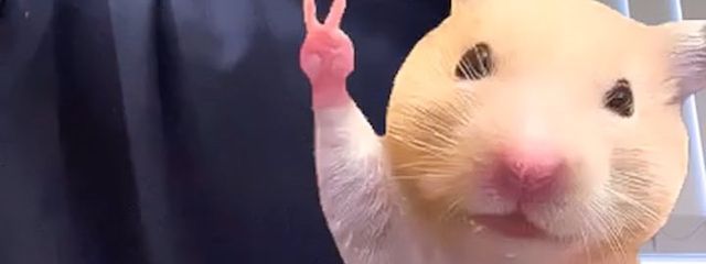 ♡さんの壁紙画像