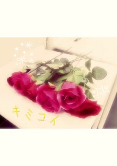キミコイ  Junta.N
