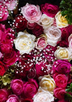 隠し通す、甘い秘密