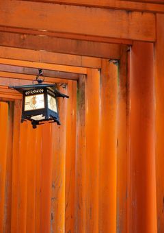 囚われの私と、狐の婚姻