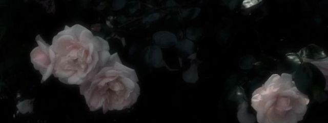 ㅈㅇさんの壁紙画像