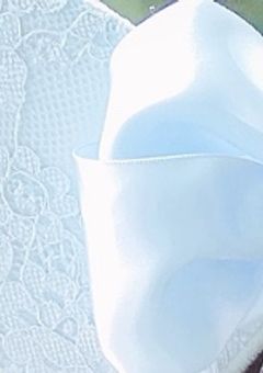 あおいとりがやってきた 。 