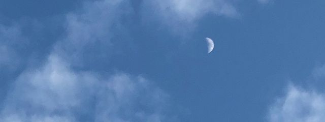 せるばーだよさんの壁紙画像