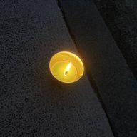 うんさんのアイコン画像