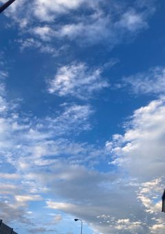 〜イ家の日常〜