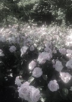 僕の心臓が止まるまで