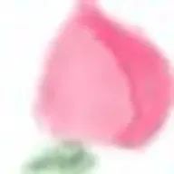 takiさんのアイコン画像