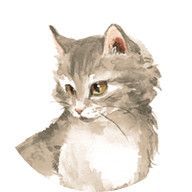 夏目漱石さんのアイコン画像