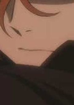 飼ってた猫、推しでした