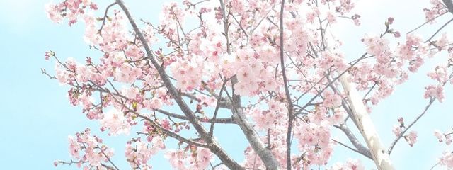 とまとまとさんの壁紙画像
