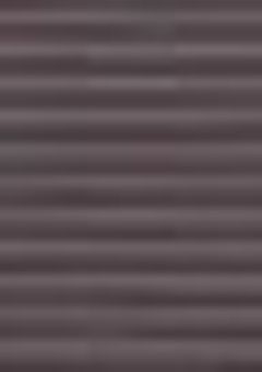 僕 の 最 終 任 務 は 双 子 の 兄 を 殺 す こ と で し た 。