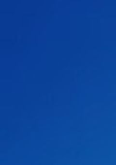 死　に　た　が　り　。