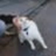 kikikokoさんのアイコン画像