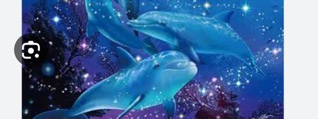 犁亜🪄⭐︎さんの壁紙画像