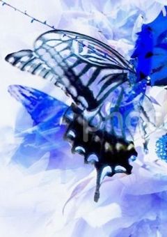 止まり木を探す蝶々