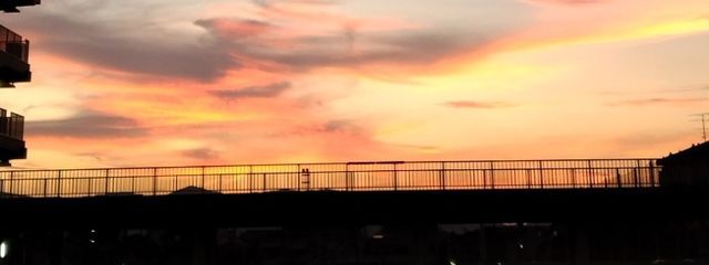 椿さんの壁紙画像