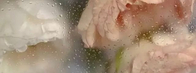 ROIHA@あめなぎうららさんの壁紙画像