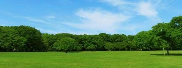 みな　読み垢さんの壁紙画像