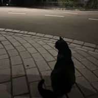 結亜.さんのアイコン画像