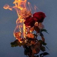 ルドルフさんのアイコン画像