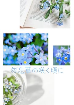 勿忘草の咲く頃に