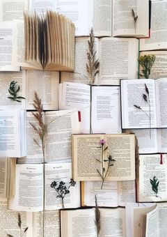maa Library📚️