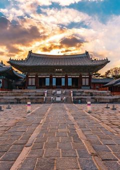 琥珀は腐芥を取らず