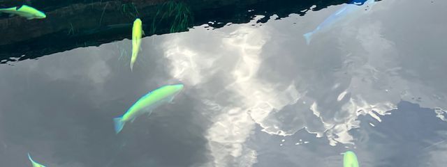 みのざうるすさんの壁紙画像