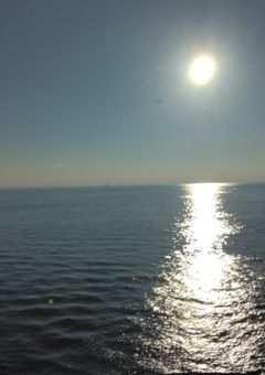 新しい兄弟が…辛辣すぎぃ⤴www