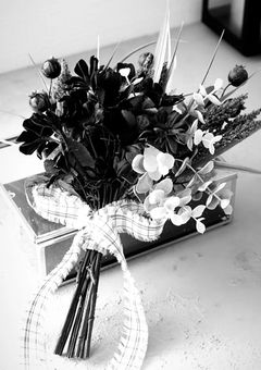 𝐏𝐚𝐫𝐚𝐥𝐥𝐞𝐥 𝐥𝐢𝐧𝐞𝐬 ．