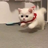 おれが最強さんのアイコン画像