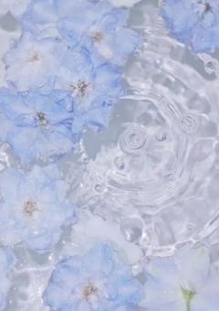  【 🌟 】妄想劇 . 💭🎀