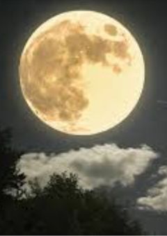 満月に出会った天の鬼は、